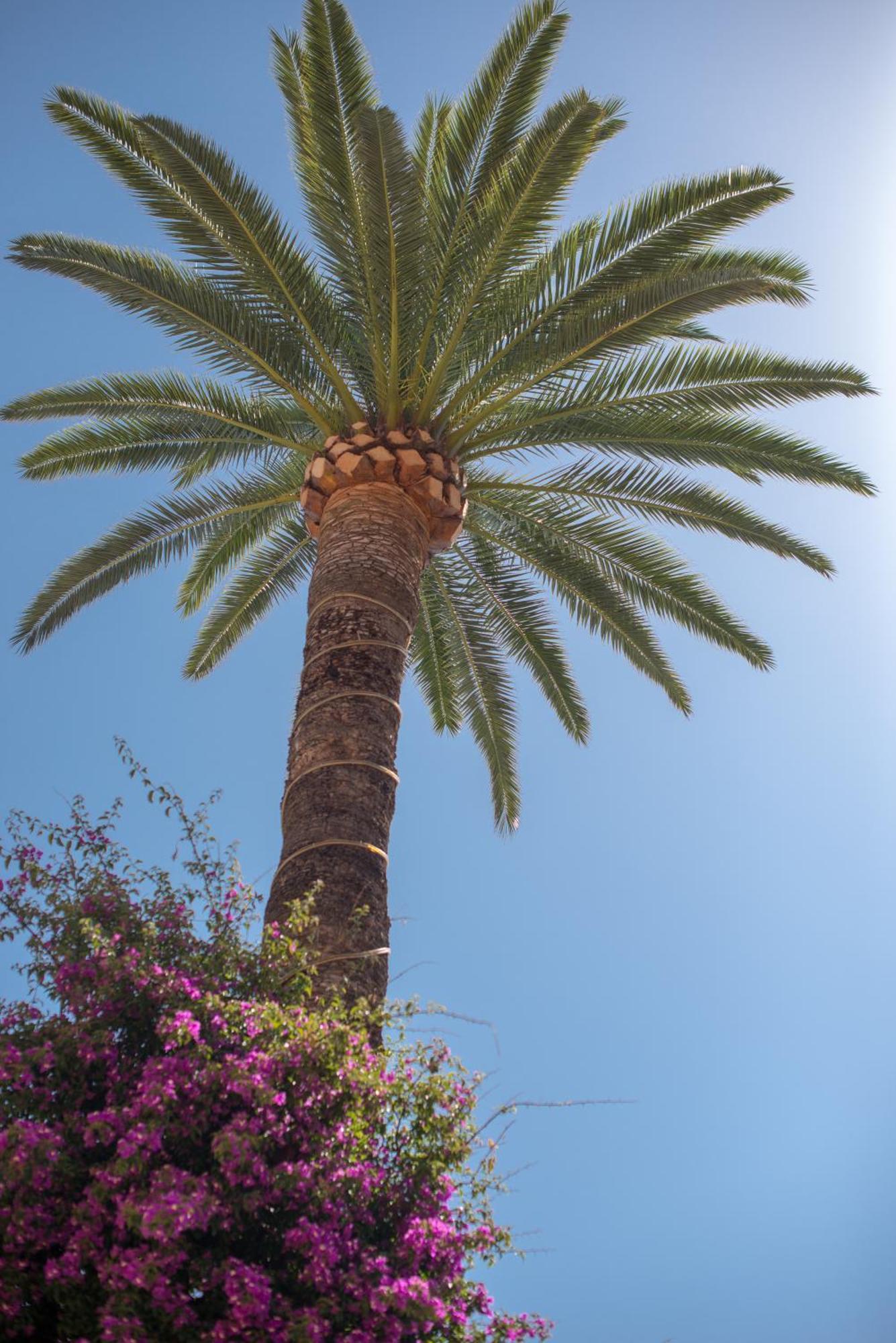 Hotel Et Appartements Reine D'Azur روكوبرُن كاب مارتي المظهر الخارجي الصورة